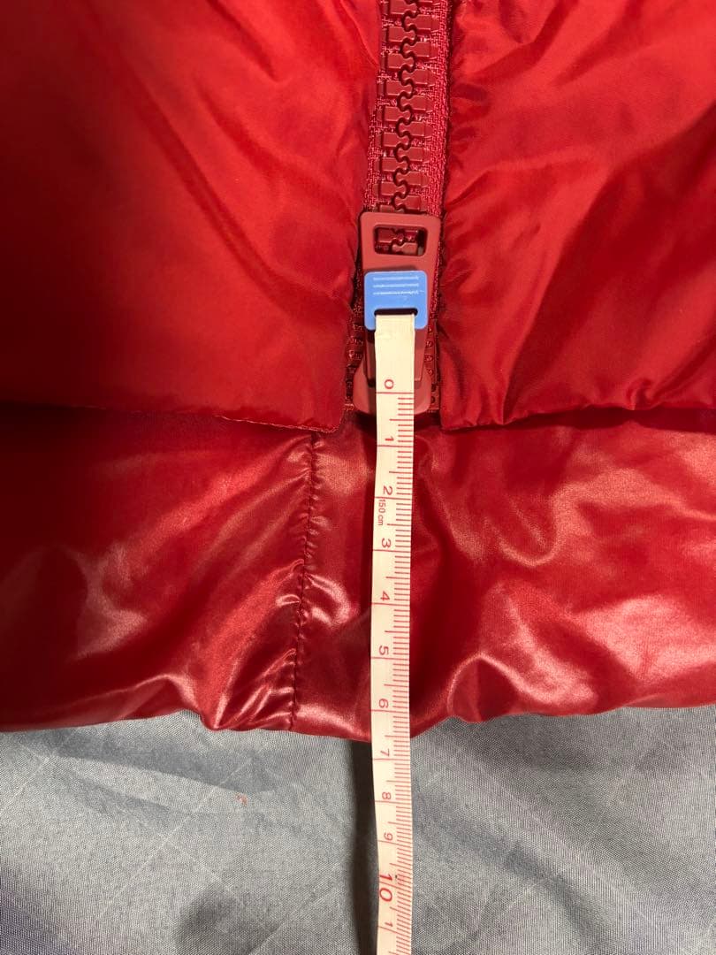 Aya Iinuma 　HERNO ダウンジャケット