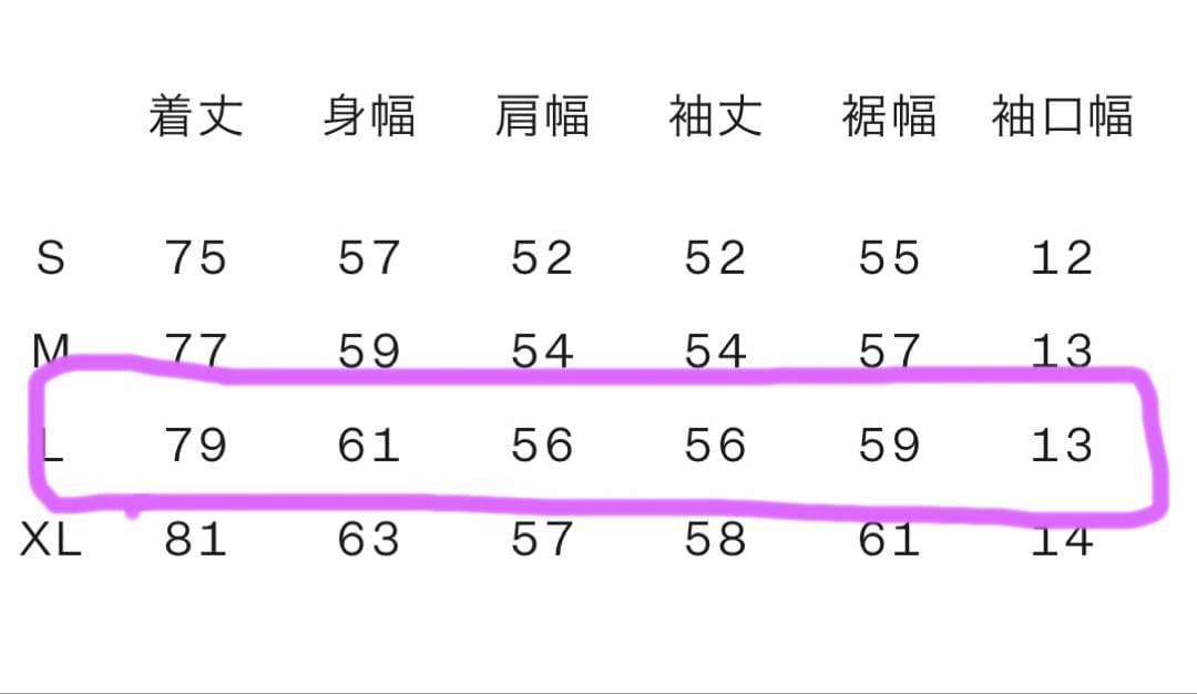 THE NORTH FACE☆オルタレーションゼファーシェルハーフコート(L)