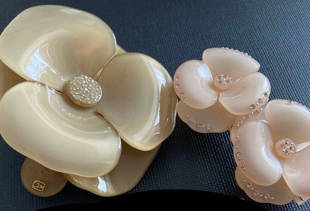 美品2点セット　アレクサンドル　ドゥ　パリ　バレッタ　カメリア　ツインカメリア