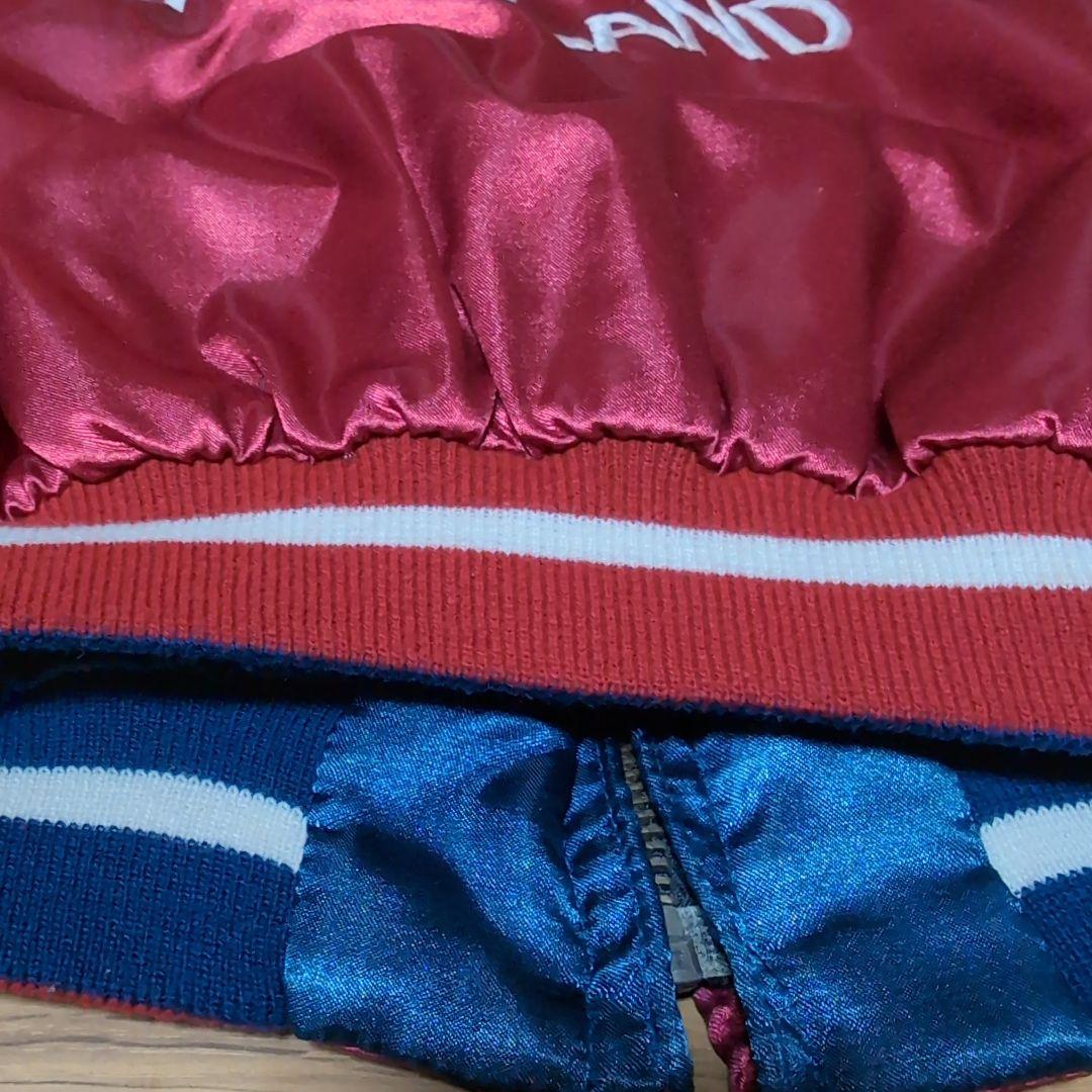 希少　リバーシブルスカジャン　グアム　グリーンランド