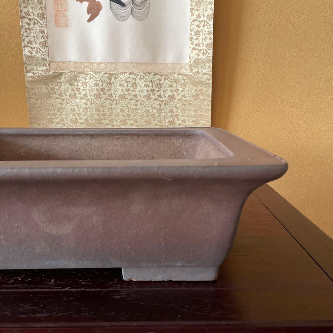 【落款あり】盆栽鉢 常滑 山秋造 松泉焼 紫泥 長方外縁泥物 43cm