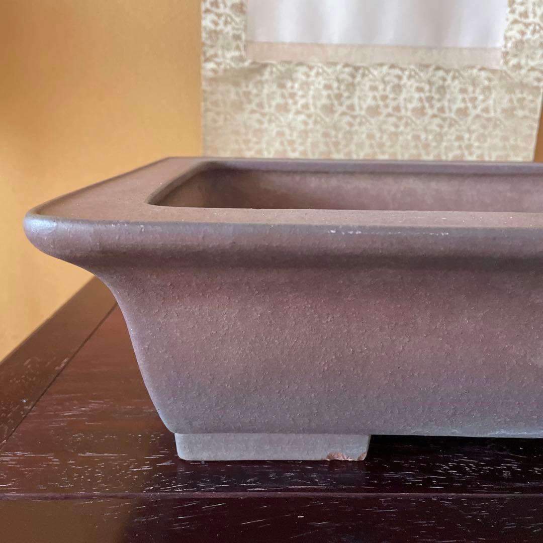 【落款あり】盆栽鉢 常滑 山秋造 松泉焼 紫泥 長方外縁泥物 43cm