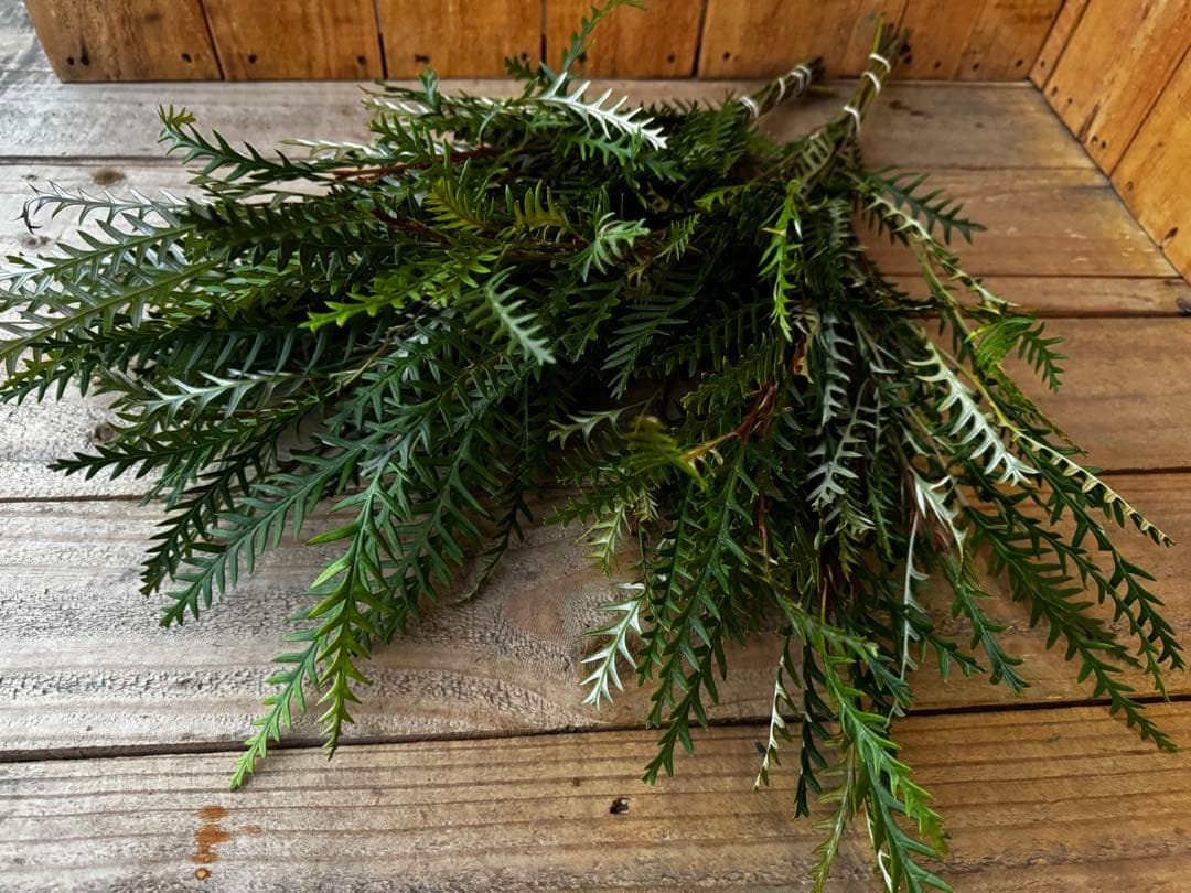 さんぽ様 リクエスト 4点 まとめ商品