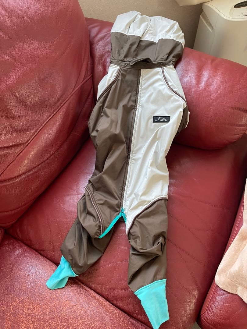 アルファアイコンスノードッグガード