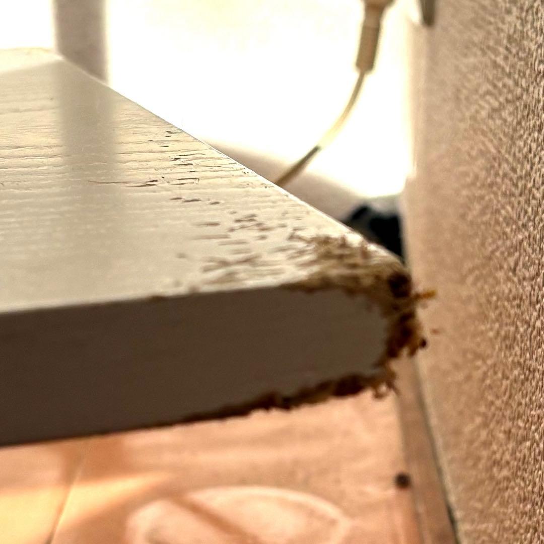 TECTA | S44 シェルフ　購入ACTUS