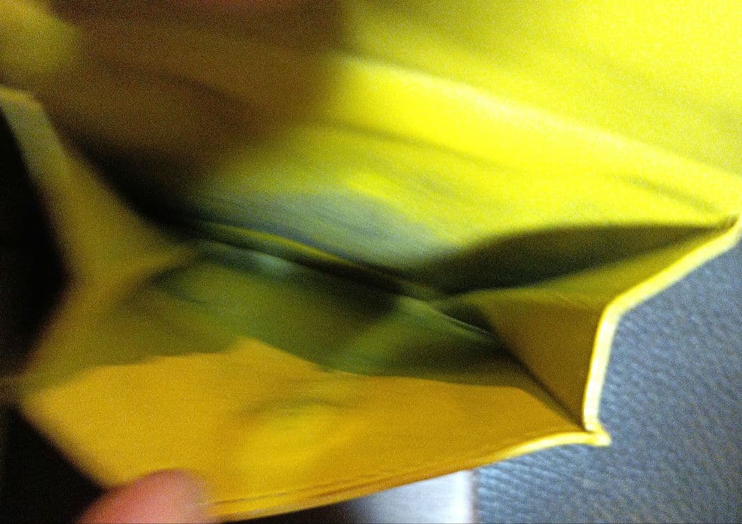 BOTTEGA２つ折り財布マキシイントレチャート