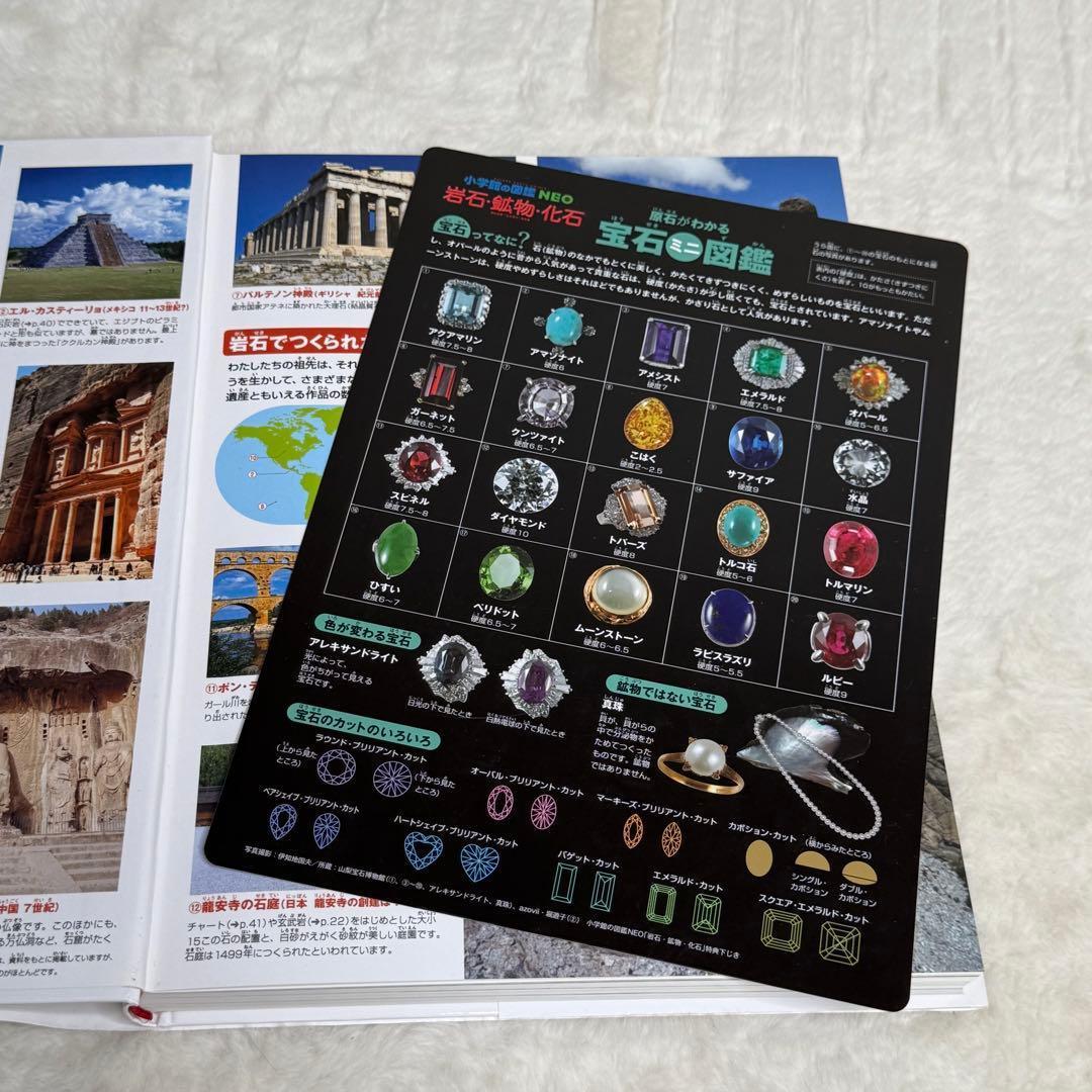 【良品】小学館の図鑑NEO 20冊セット　（全冊カバーあり、DVD・付録多数）