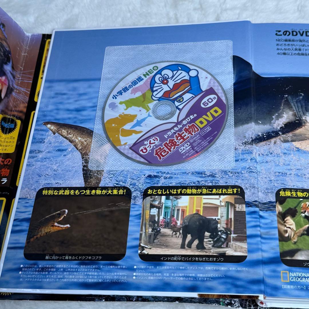 【良品】小学館の図鑑NEO 20冊セット　（全冊カバーあり、DVD・付録多数）