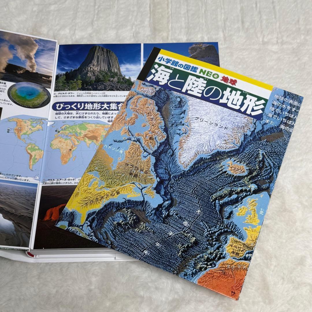 【良品】小学館の図鑑NEO 20冊セット　（全冊カバーあり、DVD・付録多数）