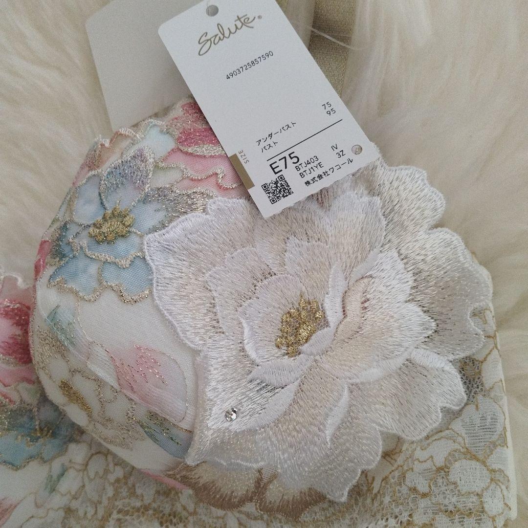 salute　サルート　03G 03グループ　E75 セット IV P-UP