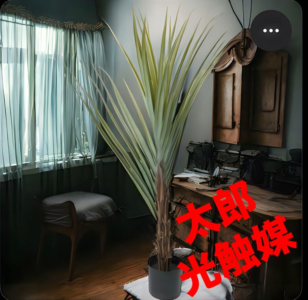 光触媒　人工観葉植物　ウォールグリーンフェイクグリーン　アカベテナータ160