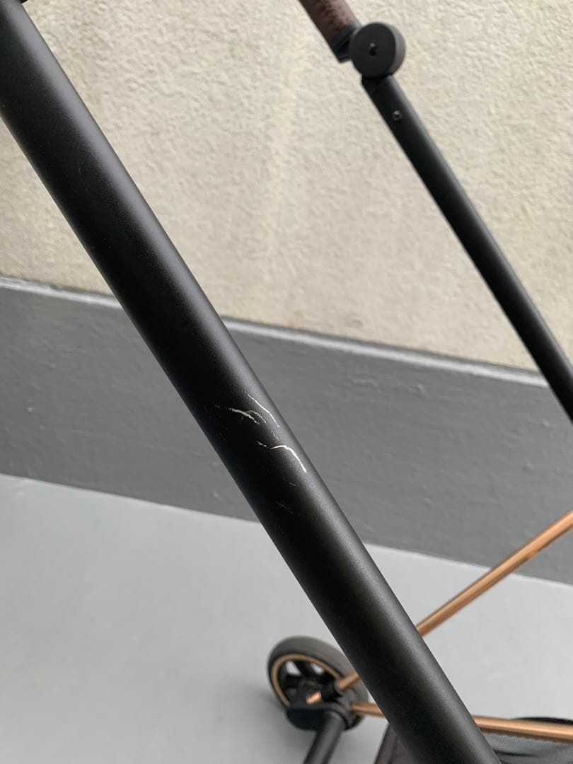 サイベックス　ミオス（ローズゴールド）　※フレームのみ