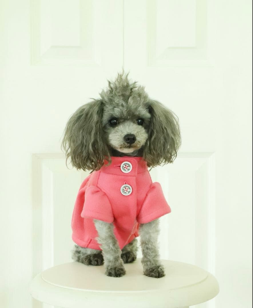 アトリエgg オードリーコート　19ハーフ