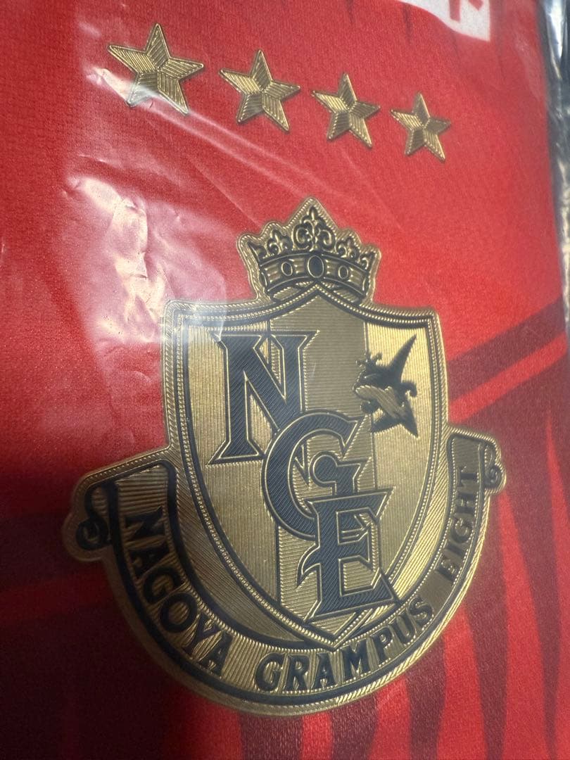 名古屋グランパス 鯱の大祭典記念モデルFP