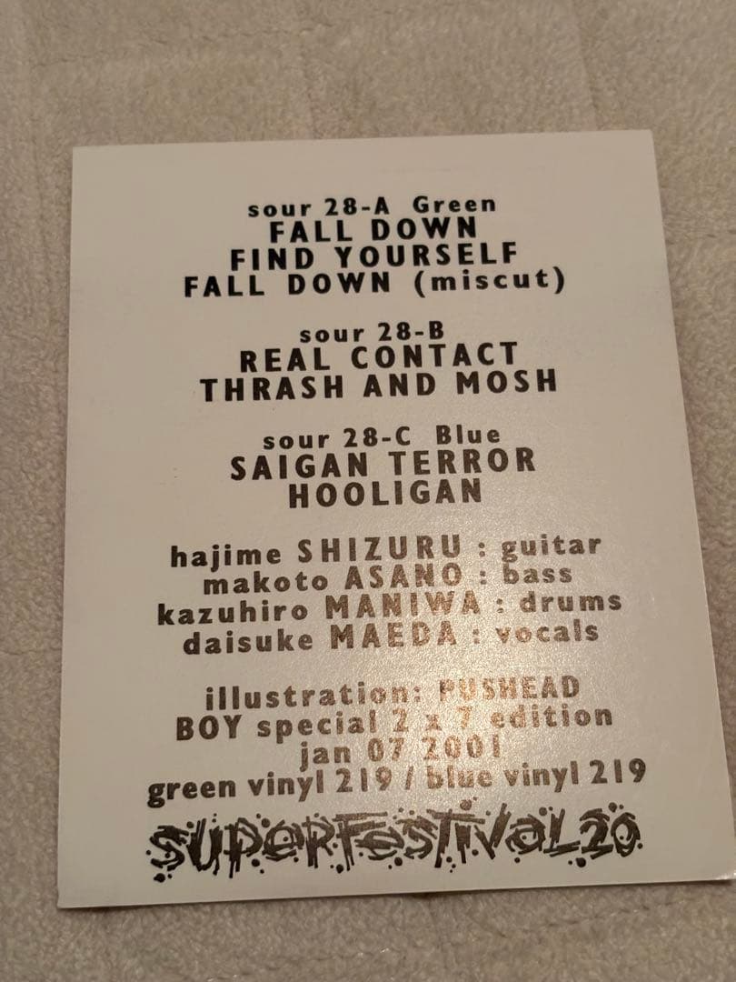 SAIGAN TERROR レコード　7inch 2枚組　PUSHEAD