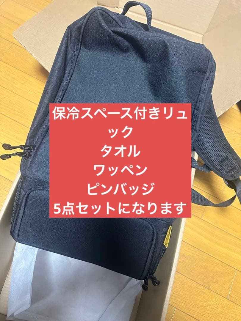 ソフトバンクホークス保冷スペース付きリュックその他セット
