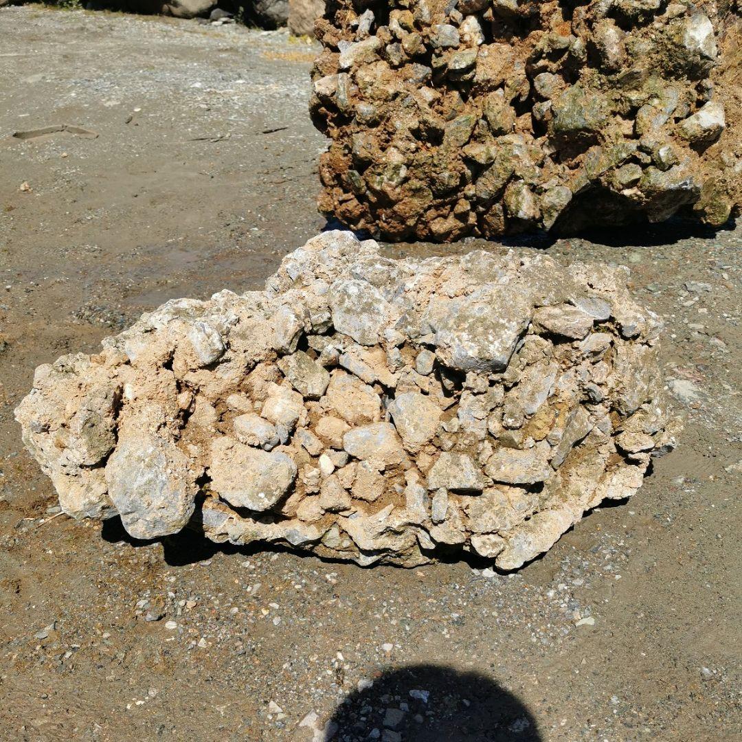 岐阜県　揖斐川産　さざれ石　64キロ　庭石　鑑賞石　石　庭　坪庭　ガーデニング