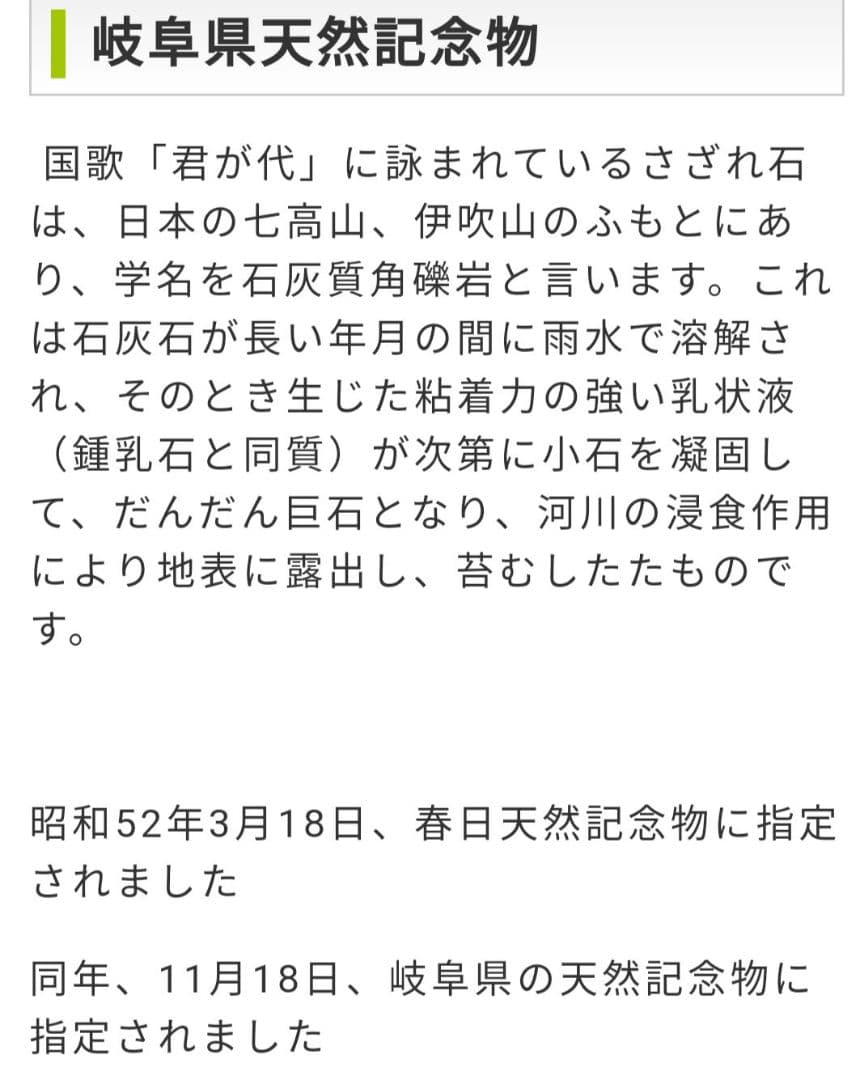 岐阜県　揖斐川産　さざれ石　64キロ　庭石　鑑賞石　石　庭　坪庭　ガーデニング