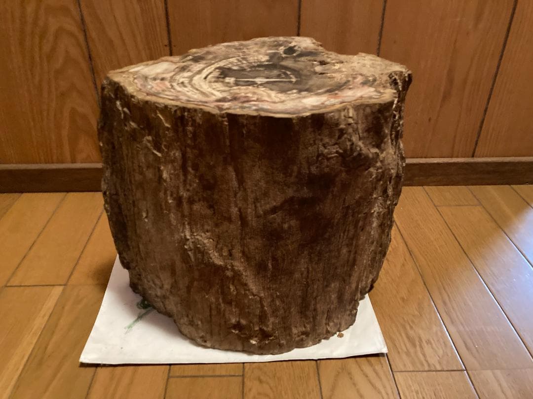 木化石　ブラジル産　30Kg弱くらい　珪化木 受け渡しも可能です