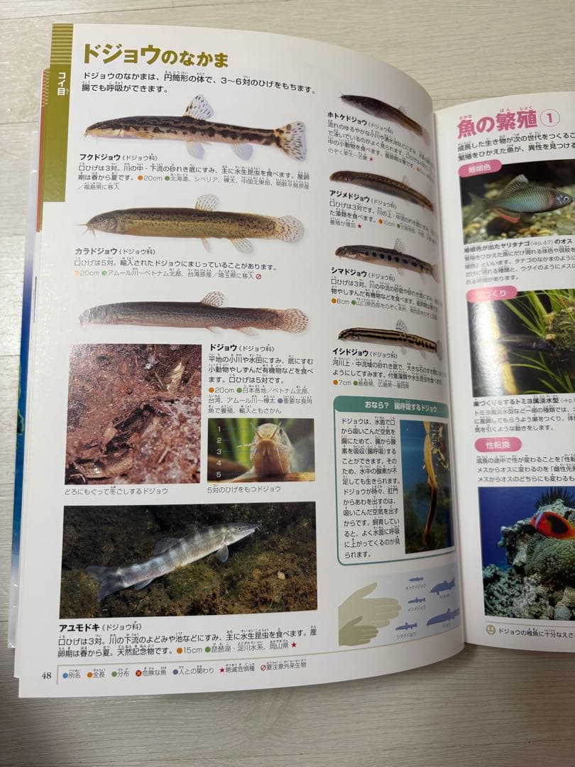 小学館の図鑑NEO 全20巻 DVD付き　まとめ売り