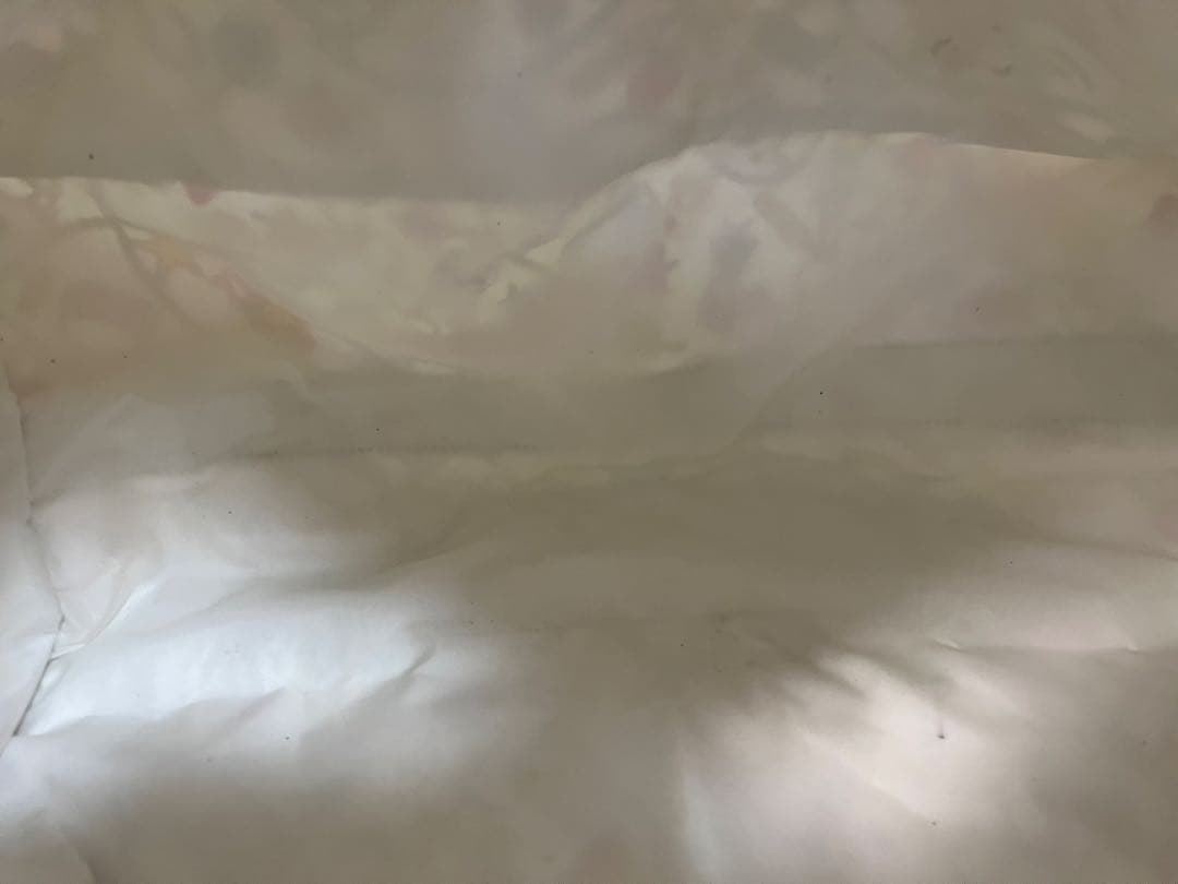 【美品】お値引き中【LeSportsac 】大ボストンバッグ/2way