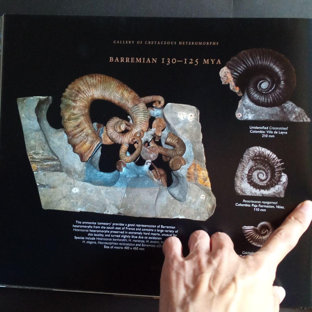 化石　図鑑　異常巻き　アンモナイト　超豪華本