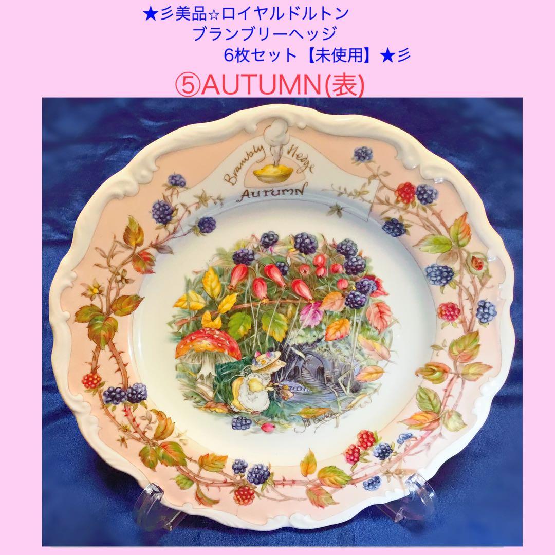 ★彡【美品/未使用】ブランブリーヘッジ 絵皿 《5枚＋1枚おまけ付き》セット★彡