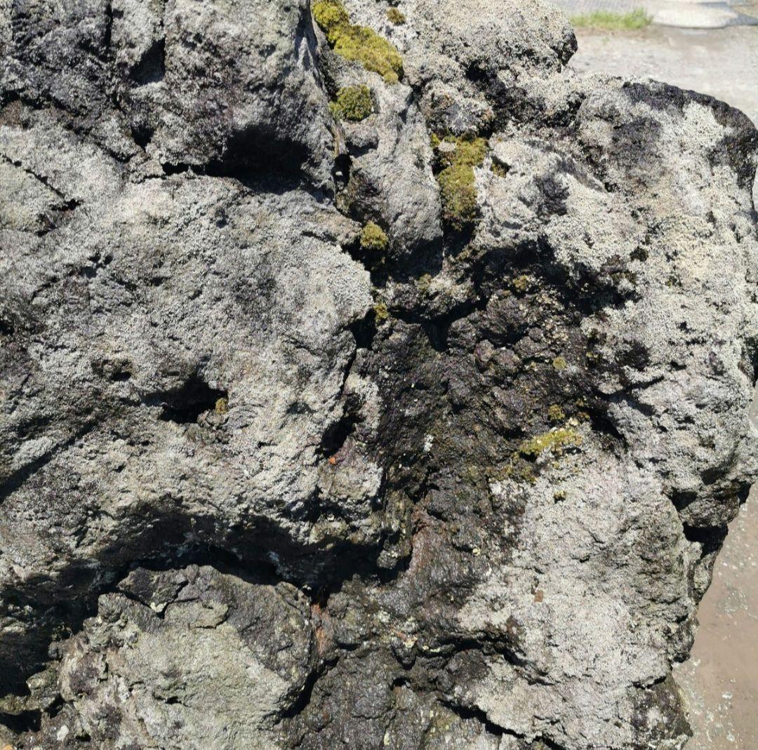 浅間溶岩石　426キロ　庭石　石　石材 庭　坪庭　ガーデニング　置物　オブジェ