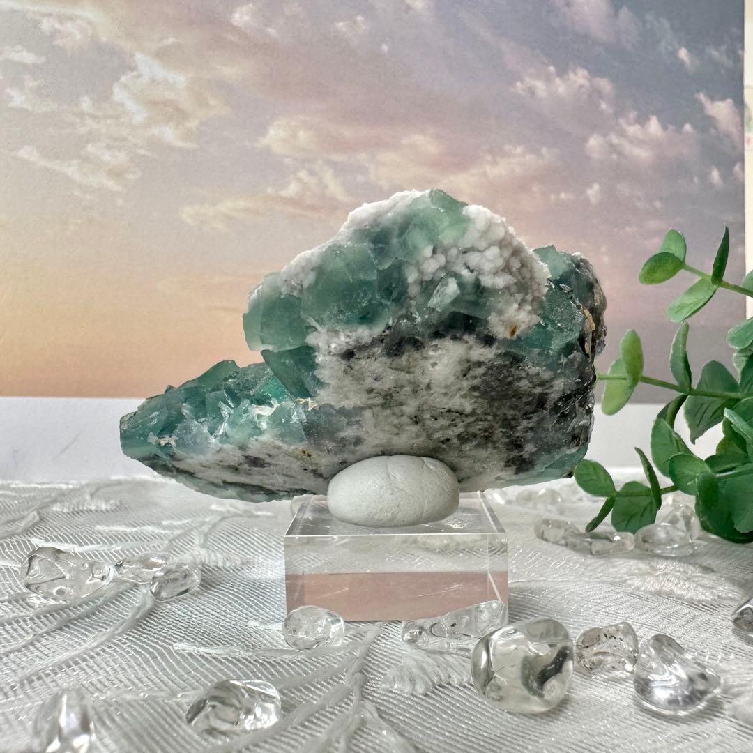 【D256】八面体 グリーンフローライト 内モンゴル 鉱物 標本