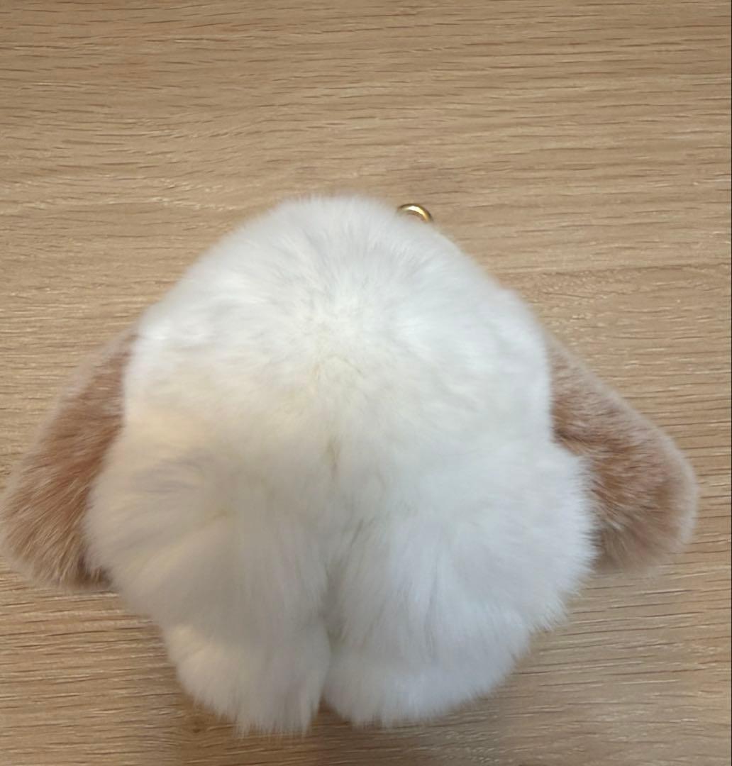 しろひつじページ