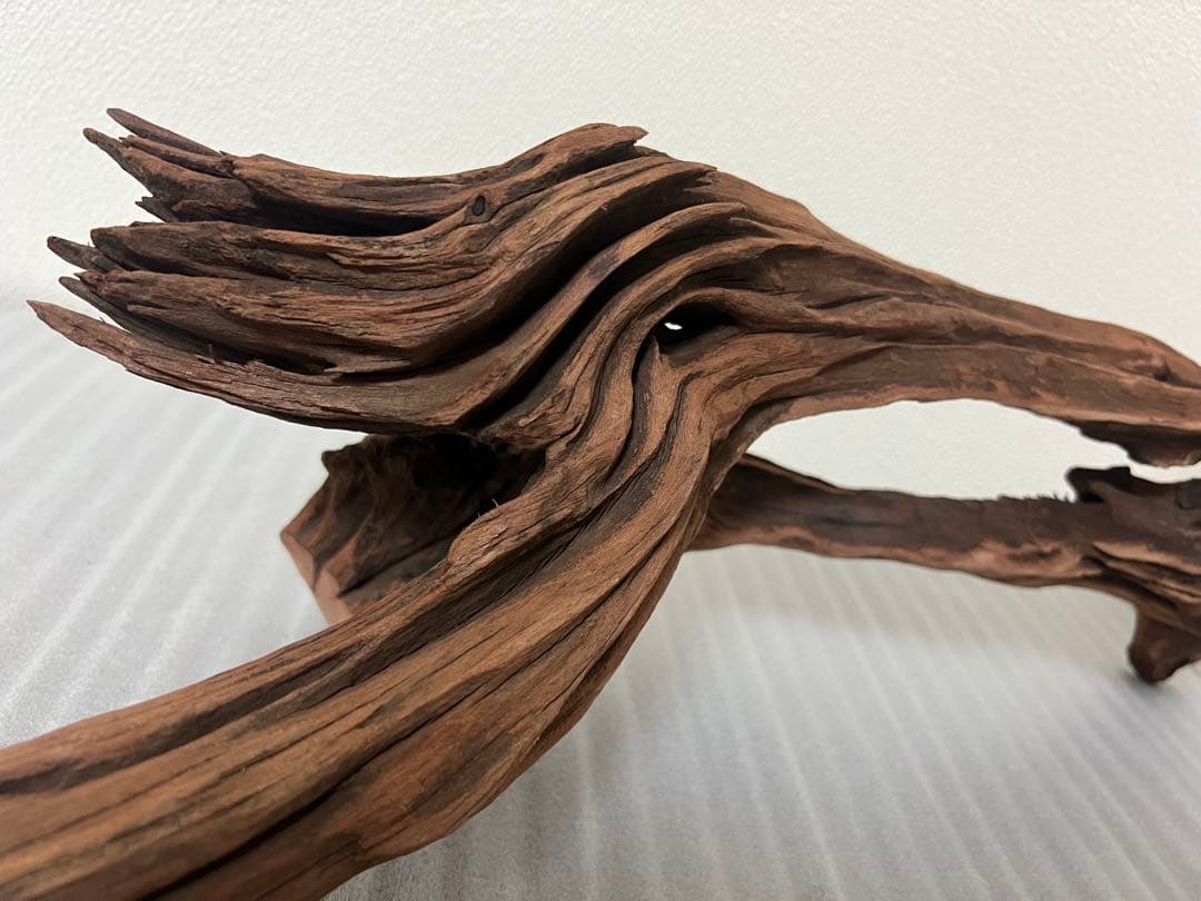 HX-081 流木　ホーンウッド　マシンガンウッド　アクアリウム　ブランチウッド