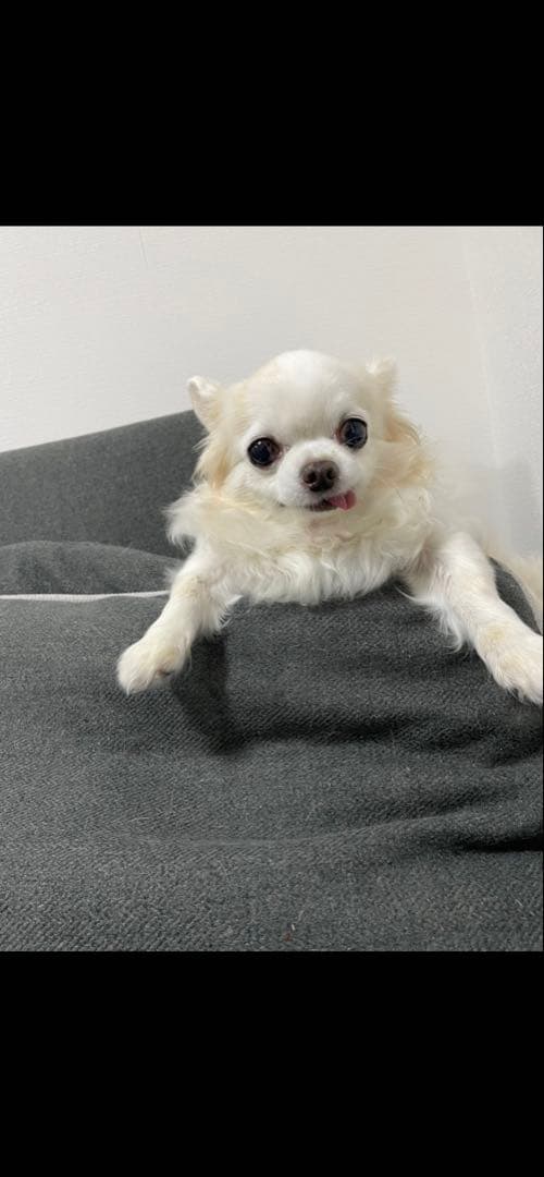 画像確認用　顔2