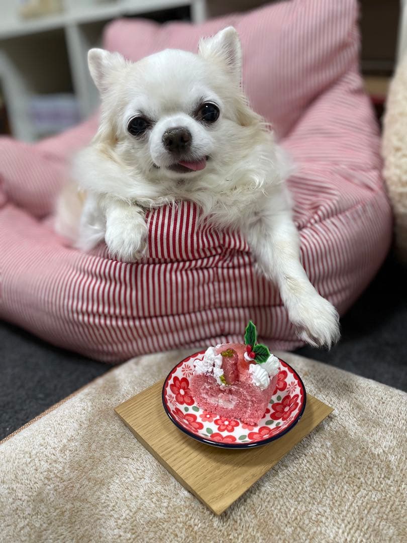 画像確認用　顔2