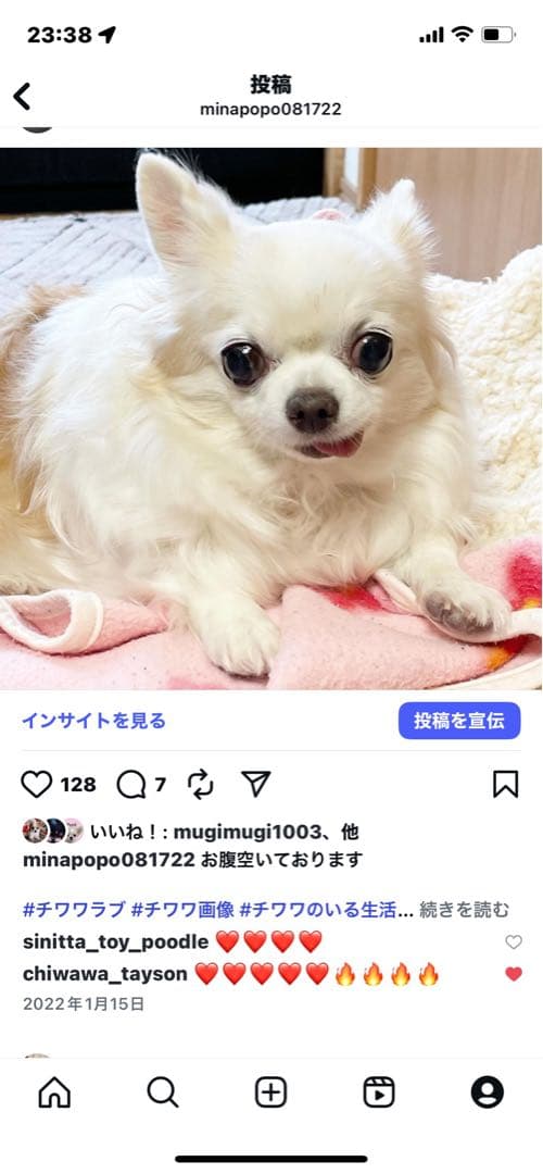 画像確認用　顔2