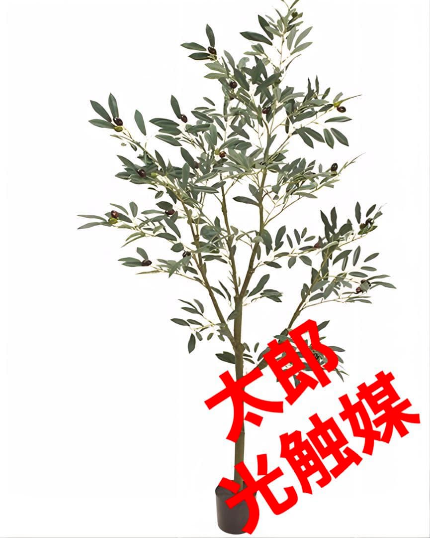 光触媒　人工観葉植物　ウォールグリーン　フェイクグリーン　オリーブポット５Ｆ