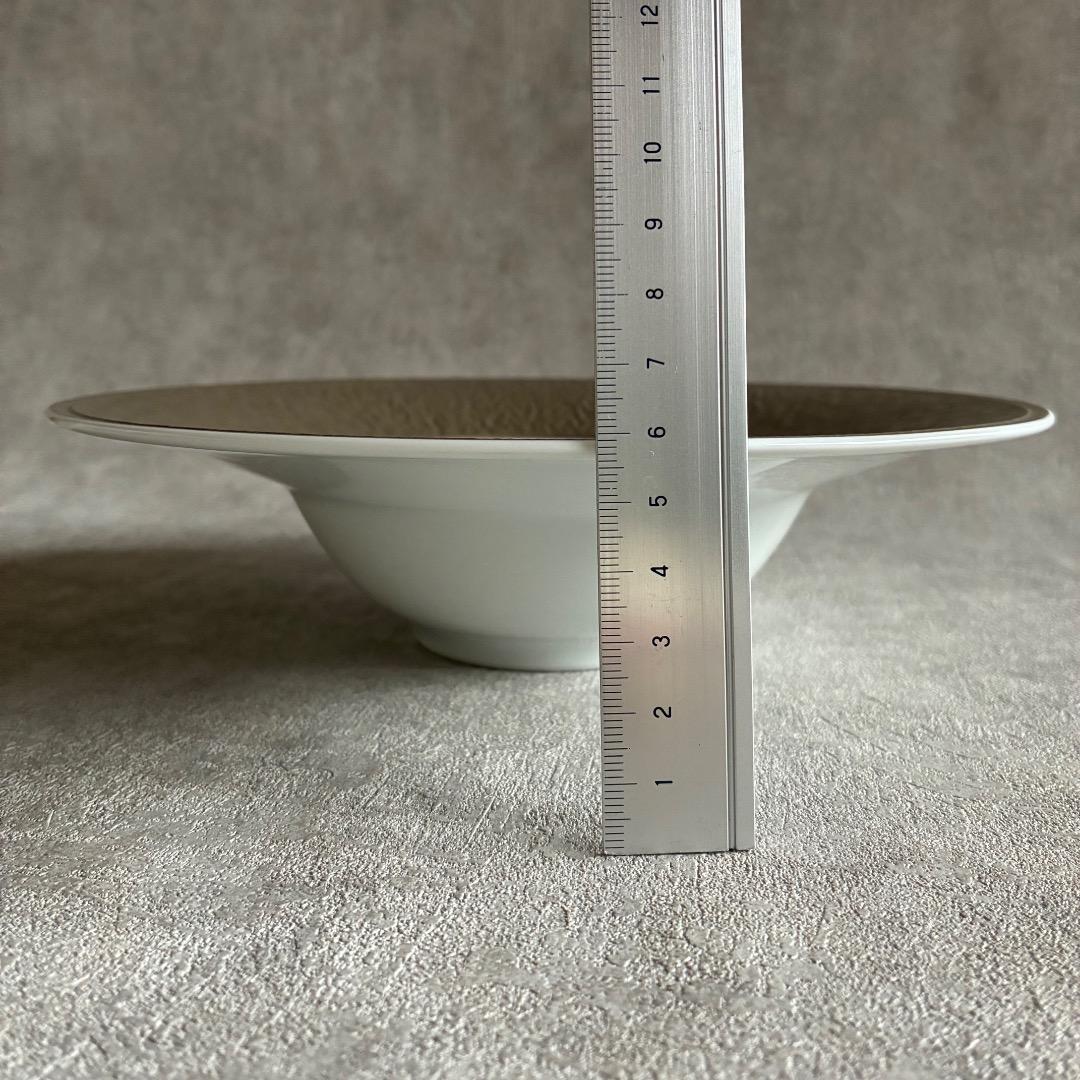 RAYNAUD レイノー ミネラル グレージュ リムスープ 22×H6cm