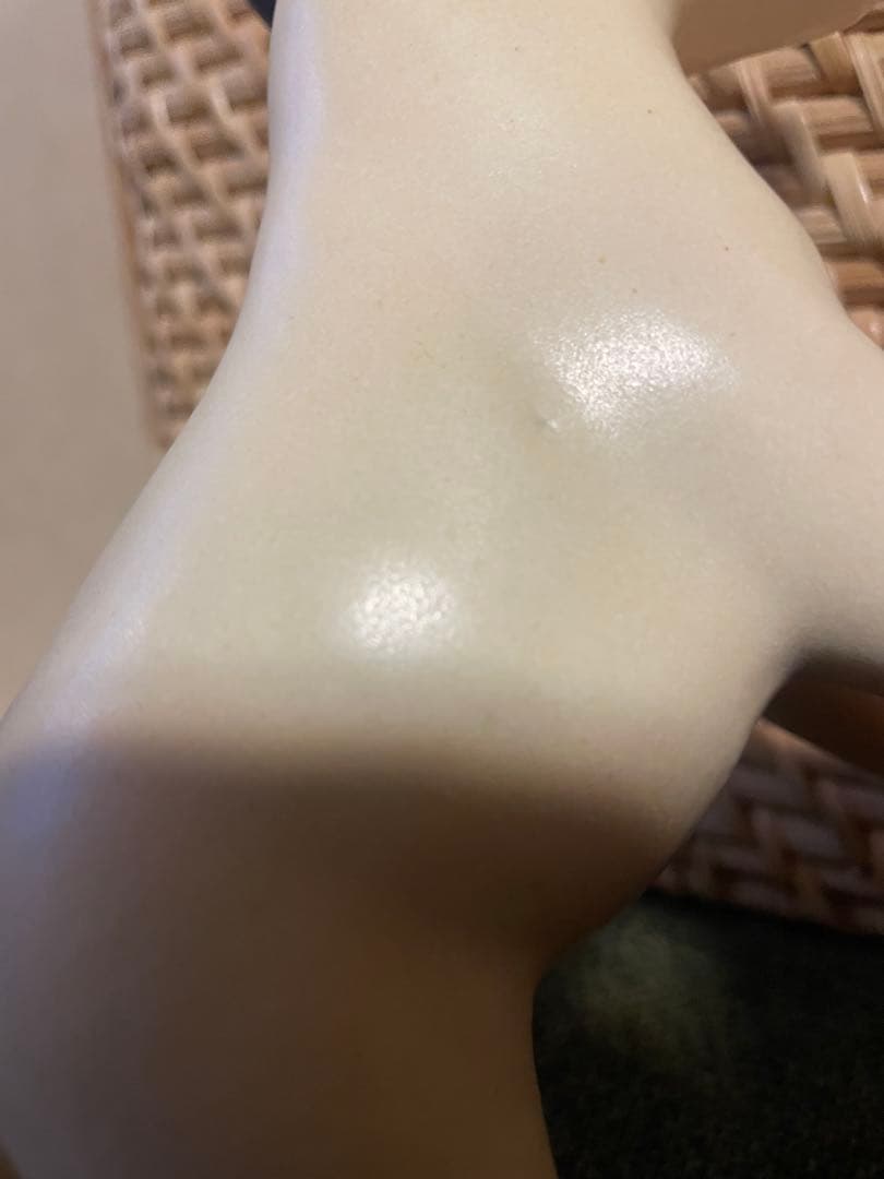 リサラーソン 置物 犬 ケンネル ブルテリア 左のぶち 陶器　オブジェ