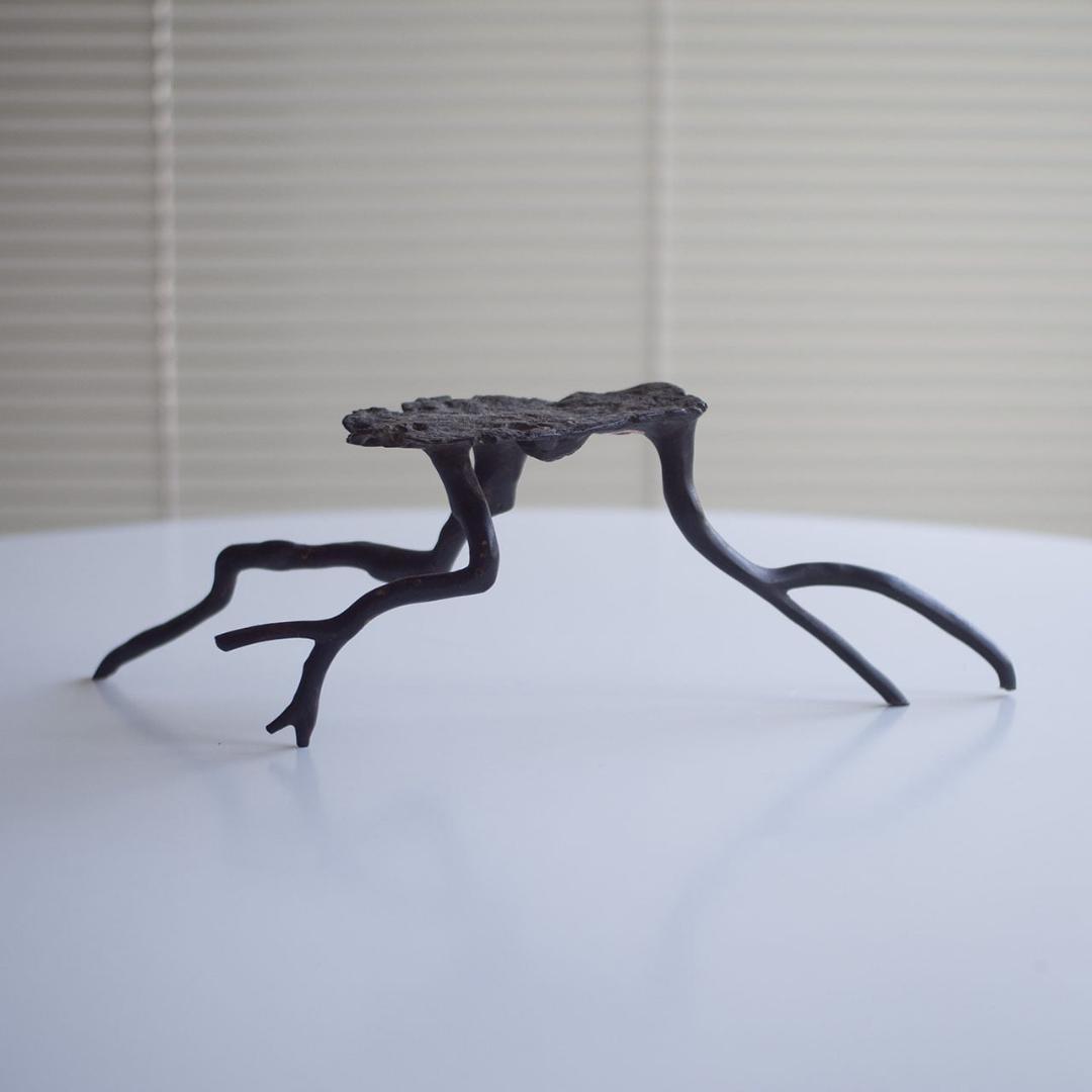 black coral / 黒珊瑚 置物 台