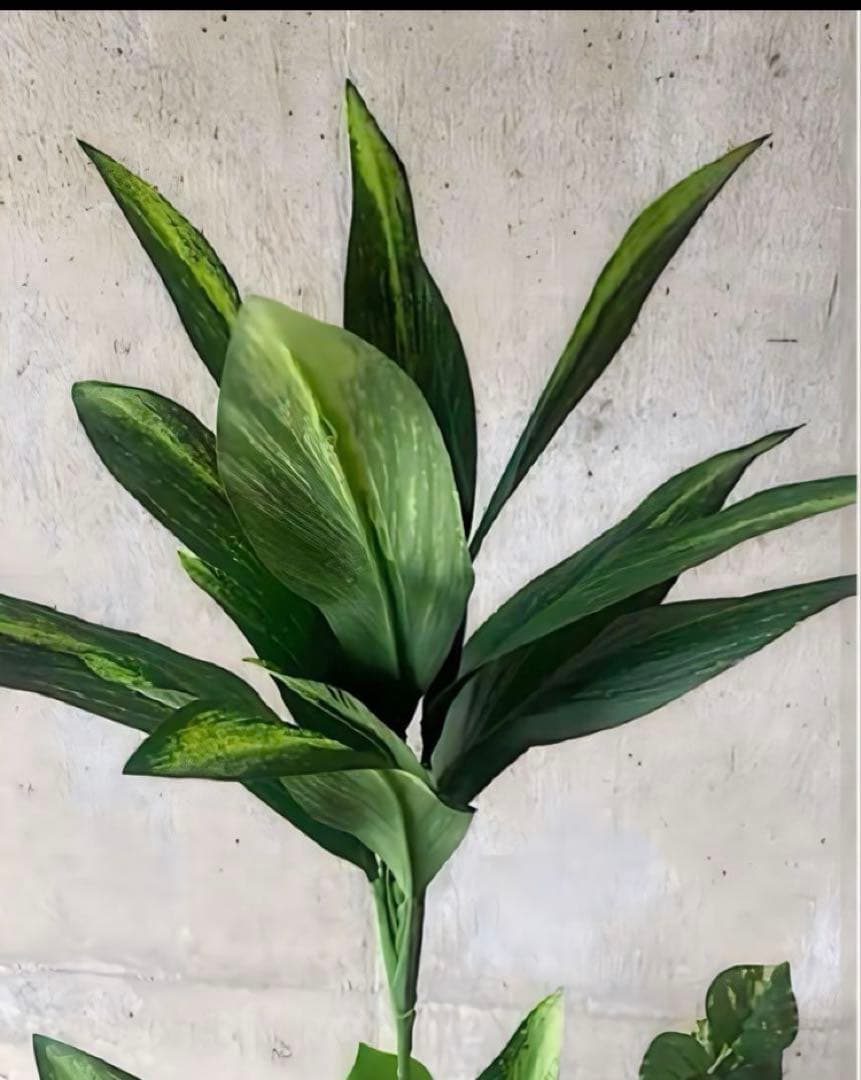 光触媒　人工観葉植物　ウォールグリーン　フェイクグリーン　マッサンアレンジgt2