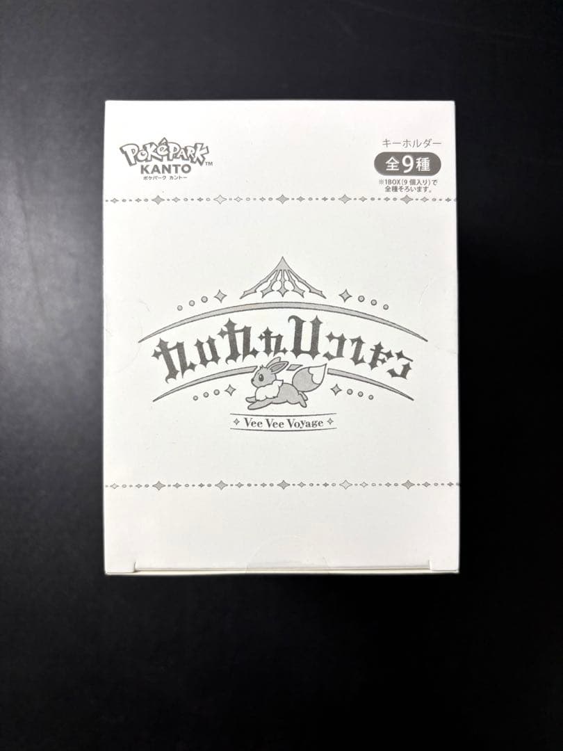 え*る様 ポケパークカントー限定　イーブイズ　アクリルキーホルダー　フルコンプセ