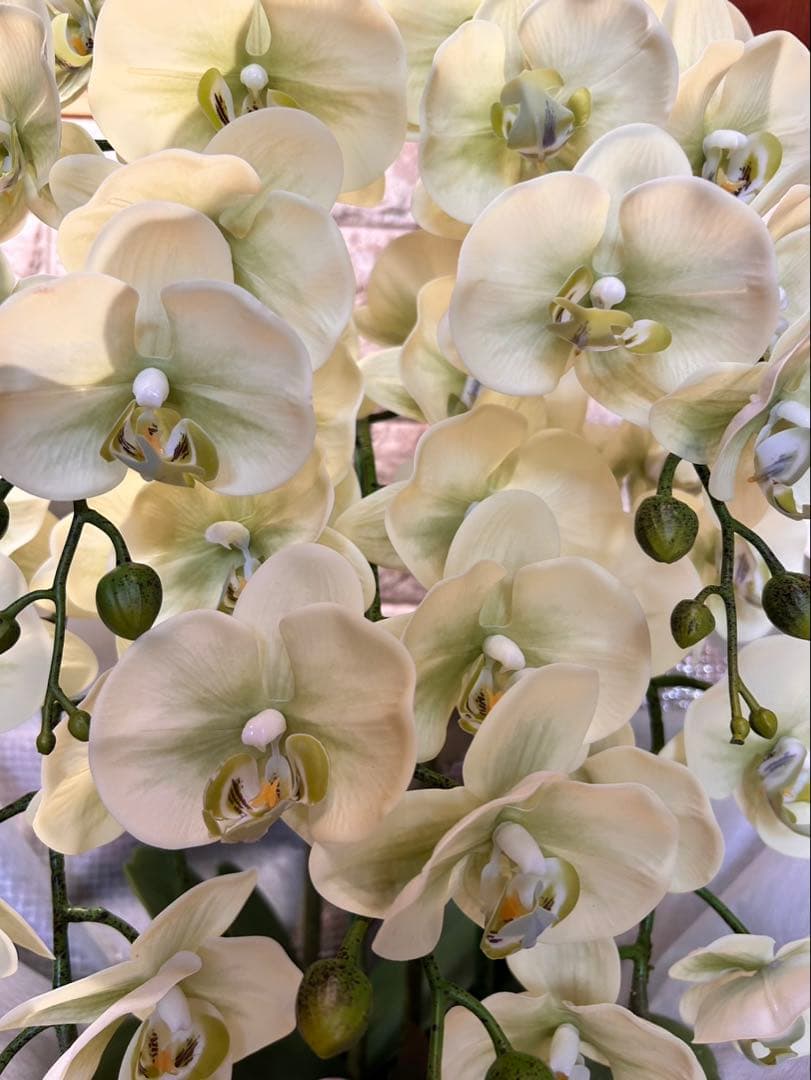 光触媒　人工観葉植物　ウォールグリーン　フェイクグリーン　リアル胡蝶蘭8755