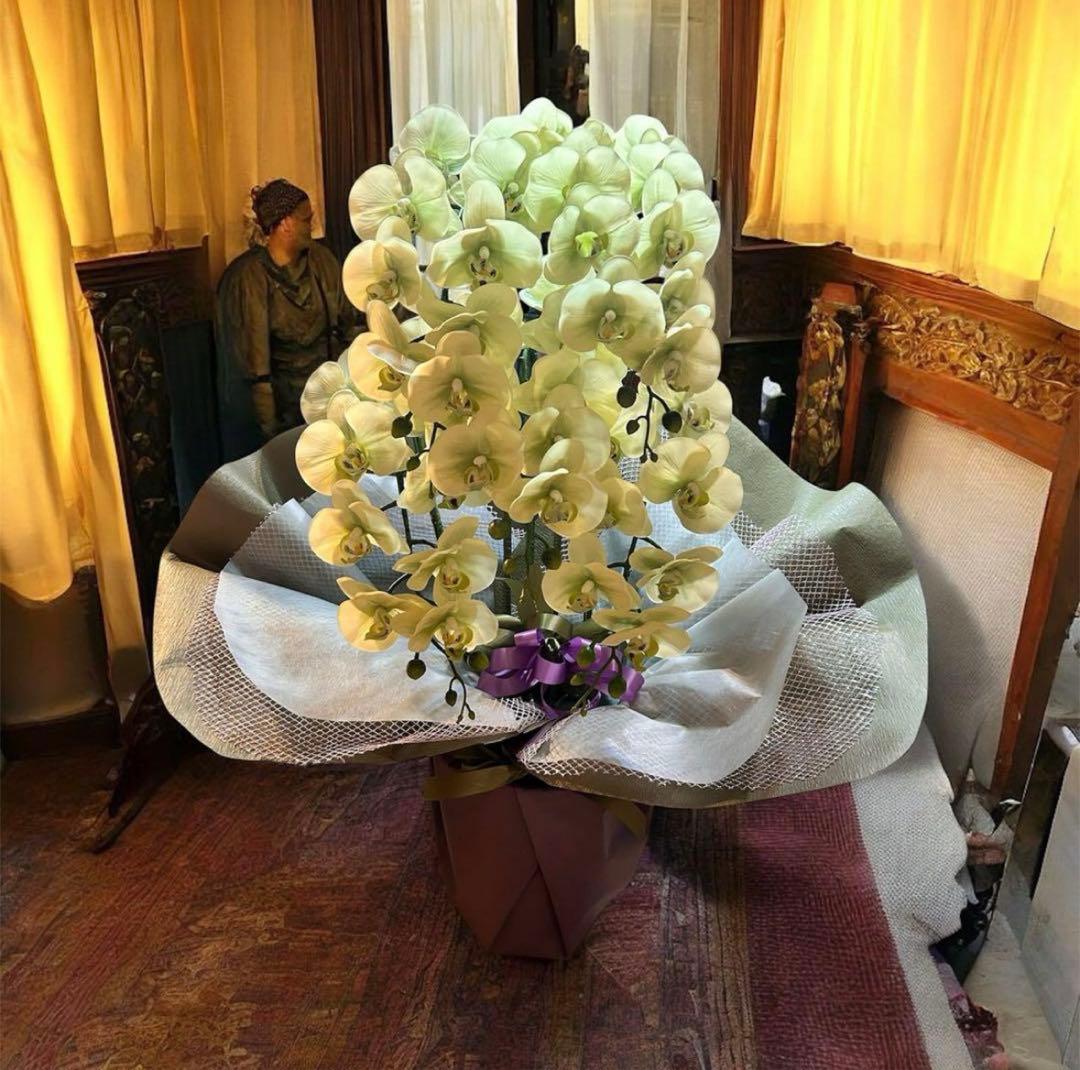 光触媒　人工観葉植物　ウォールグリーン　フェイクグリーン　リアル胡蝶蘭8755