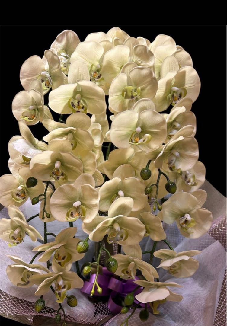 光触媒　人工観葉植物　ウォールグリーン　フェイクグリーン　リアル胡蝶蘭8755