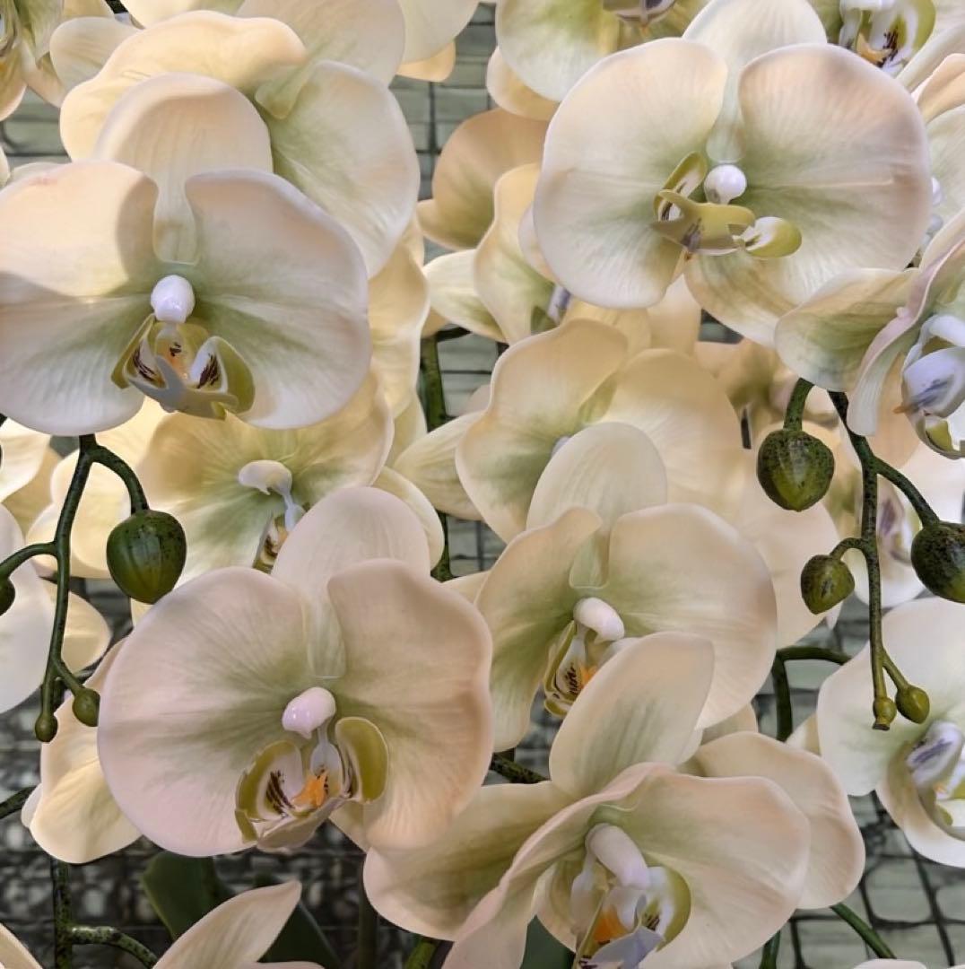 光触媒　人工観葉植物　ウォールグリーン　フェイクグリーン　リアル胡蝶蘭8755