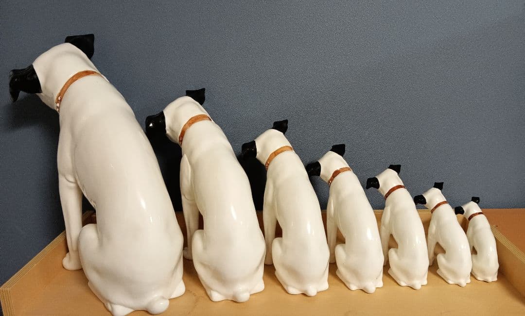 ビクター ニッパー犬 ニッパー　特大44cm～ 7匹 手渡し希望 千葉県習志野市