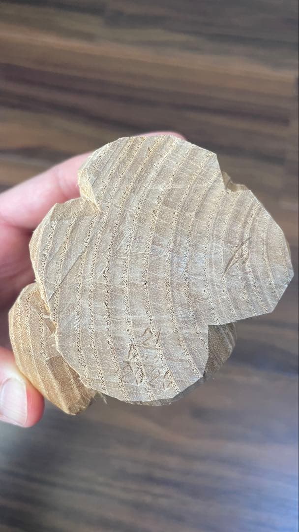 高野夕輝　木彫り　熊