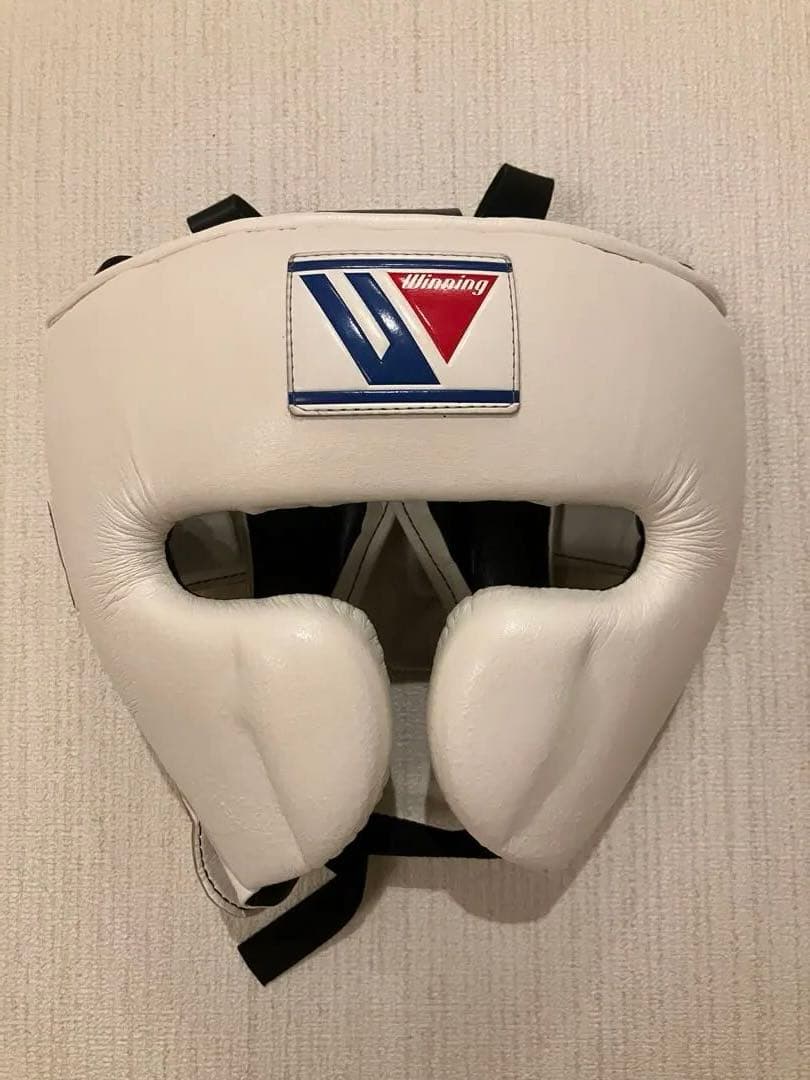 Winning ヘッドギア フルフェイスタイプ ホワイトL FG-2900