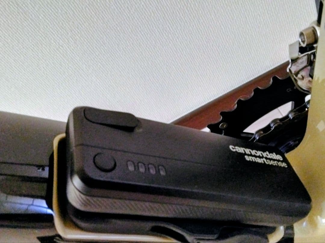 Sebastian Lampen　キャノンデール　トップストーン　カーボン