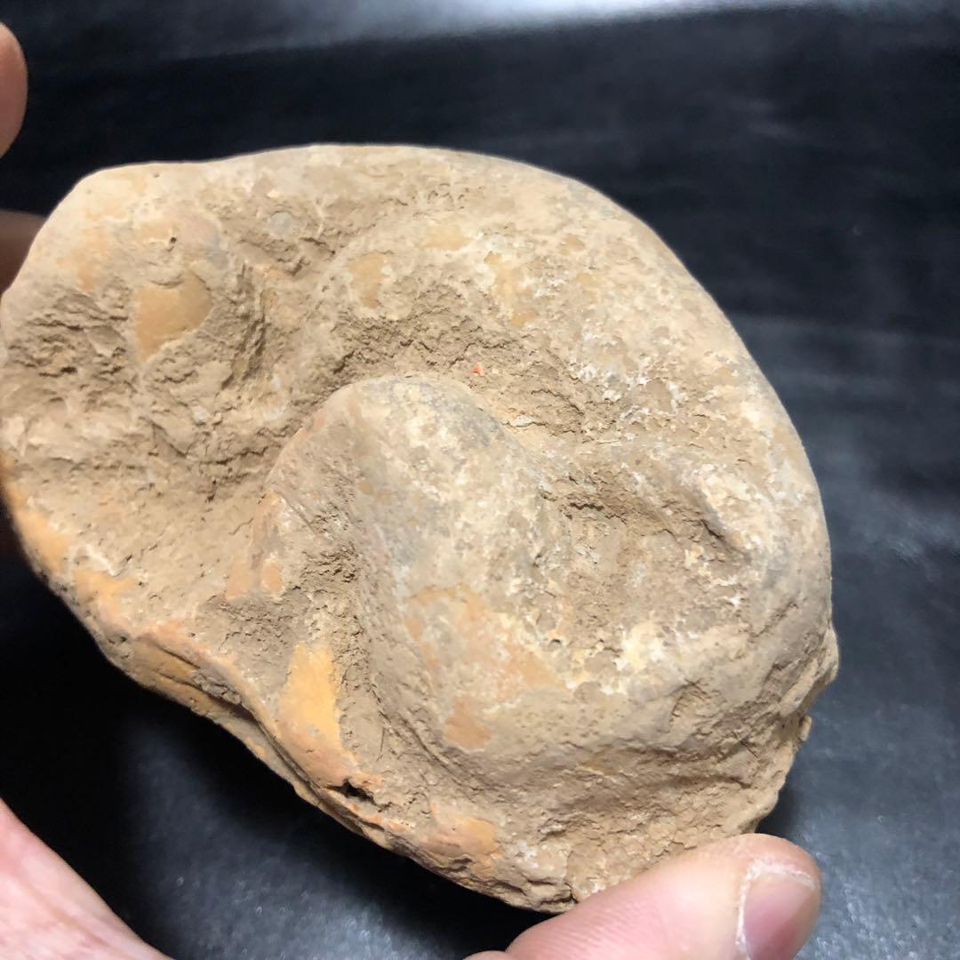 蔵から中国古銭と一緒の箱から出てきた 5体の内の1体　 犬イヌ中国古美術土器