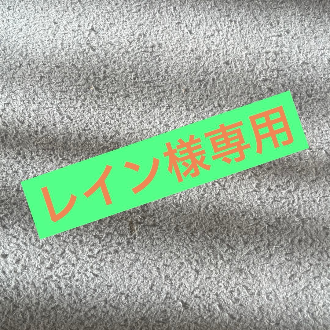 レインページ
